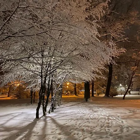 I Goscinne U Lusi - Szkolka Narciarska Obok