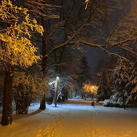 I Goscinne U Lusi - Szkolka Narciarska Obok Wisła