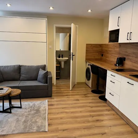 Apartament I Pokoje Goscinne U Lusi - Basen Z Podgrzewana Woda W Wisle Wisla