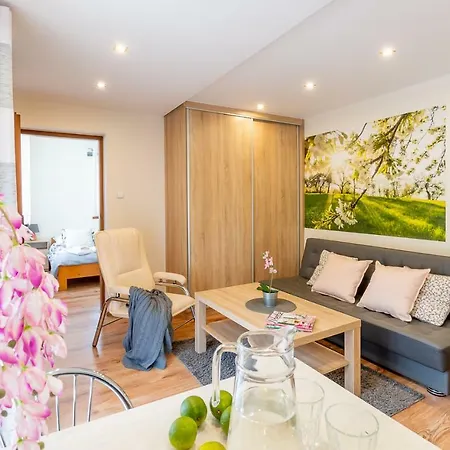 Accommodatie bij particulieren I Goscinne U Lusi - Szkolka Narciarska Obok Wisła