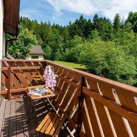 Accommodatie bij particulieren I Goscinne U Lusi - Szkolka Narciarska Obok *