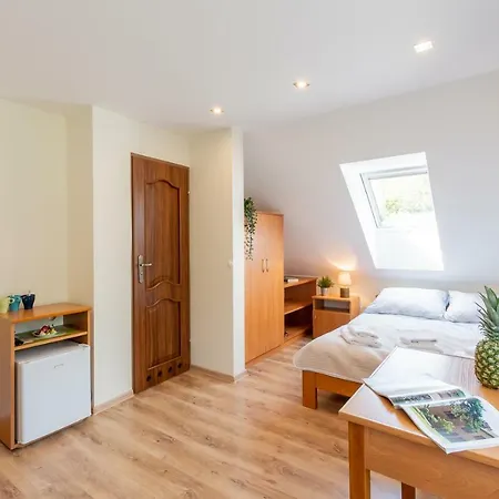 I Goscinne U Lusi - Szkolka Narciarska Obok Wisła