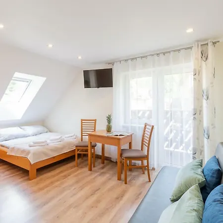 I Goscinne U Lusi - Szkolka Narciarska Obok *