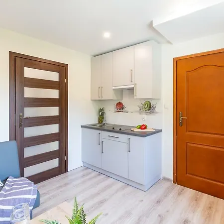 I Goscinne U Lusi - Szkolka Narciarska Obok Wisła