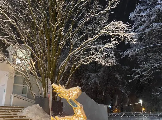 I Goscinne U Lusi - Szkolka Narciarska Obok